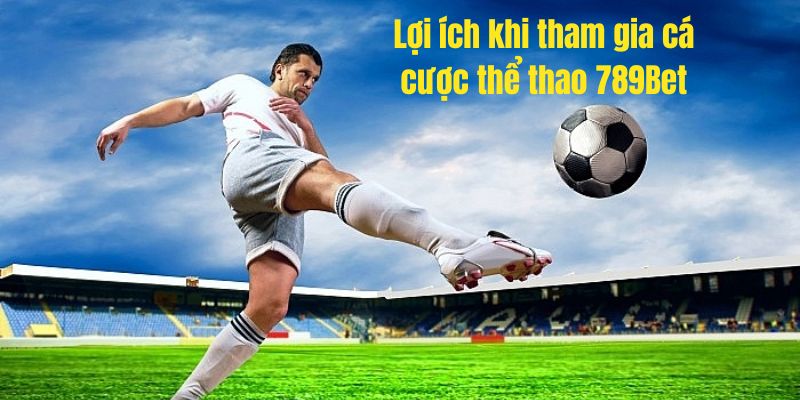 thể thao 789bet